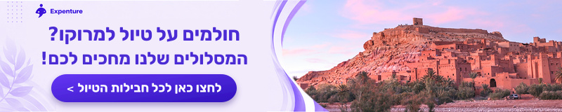אקספנצ